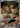 Spearow 074/063 Art Rare Mega Brave Pokemon Japanese