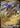 Cynthia's Garchomp ex 113 RR Chasing Glory Together Pokemon Chinese