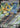 Hop's Zacian ex 123/193 Double Rare MEGA Dream ex Pokemon Japanese Holo