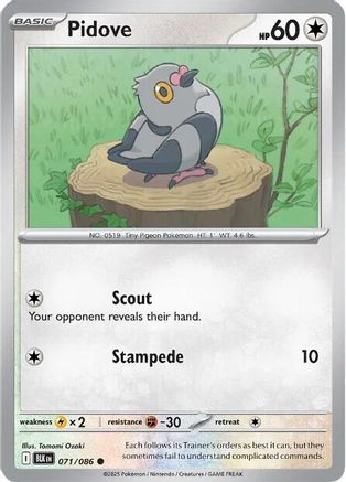 Pidove 071/086 Common SV: Black Bolt Pokemon