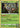 Rowlet 002/015 Holo Promo McDonald's Promos 2022 Pokemon