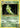 Metapod 4/108 Uncommon Evolutions Pokemon