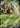 Beedrill ex 003/086 Double Rare Chaos Rising Pokemon Holo