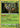 Rowlet 002/015 Holo Promo McDonald's Promos 2022 Pokemon