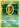 Kakuna 6/108 Uncommon Evolutions Pokemon