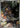 Pincurchin 082/076 Art Rare M6: Storm Emeralda Pokemon Japanese Holo
