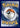 Scorbunny 031/202 Common Sword & Shield Pokemon Reverse Holo