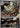 Noctowl 214/208 Stellar Crystal Pokemon Chinese