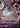 Polteageist V SWSH021 Holo Promo Sword & Shield Promo Pokemon