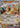 Flareon ex 023/208 Terastal Gathering Pokemon Chinese