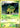 Grotle 049/130 Holo Promo Burger King Promos Pokemon