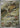 Beautifly 194/193 holo Art Rare MEGA Dream ex Pokemon Japanese