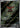 Tapu Bulu 065/064 Art Rare Night Wanderer Pokemon Japanese