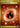 Basic Fire Energy 230/197 Hyper Rare Obsidian Flames Pokemon Holo