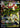 Mega Eelektross ex 266/217 Mega Attack Rare Ascended Heroes Pokemon Holo