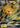 Raichu GX - SM213 Holo Promo Sun & Moon Promo Pokemon