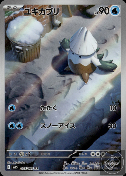 Snover 067/063 Art Rare Mega Symphonia Pokemon Japanese