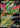 Iron Leaves ex 018/208 Terastal Gathering Pokemon Chinese