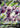 Drapion V 175/185 Ultra Rare Vivid Voltage Pokemon