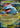 Mega Venusaur ex 003/132 Double Rare Mega Evolution Pokemon Holo