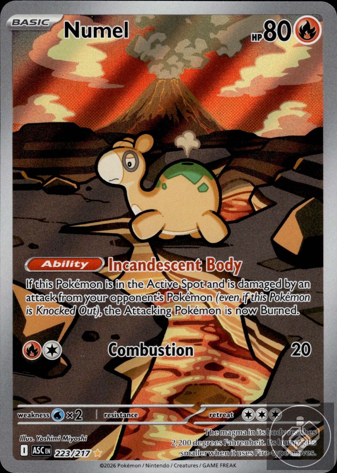 Numel 223/217 Illustration Rare Ascended Heroes Pokemon