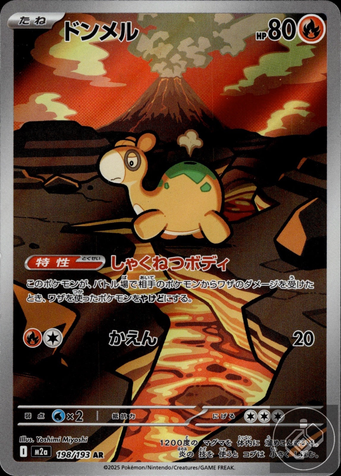 Numel 198/193 Art Rare MEGA Dream ex Pokemon Japanese