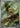 Chespin 084/083 Art Rare Ninja Spinner Pokemon Japanese Holo