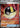 Ultra Ball 264/217 Ultra Rare Ascended Heroes Pokemon Holo