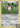 Skitty 012/012 Holo Promo McDonald's Promos 2015 Pokemon