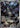 N's Zekrom 031 Holo Promo ME: Mega Evolution Promo Pokemon
