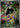 Shroodle 072/063 Art Rare Mega Brave Pokemon Japanese Holo
