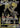 Shadow Rider Calyrex VMAX TG30/TG30 Astral Radiance Trainer Gallery Pokemon