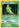 Metapod 4/108 Uncommon Evolutions Pokemon