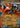 Mega Lucario ex 113/217 Double Rare Ascended Heroes Pokemon