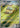 Grotle 072/071 Art Rare Wild Force Pokemon Japanese Holo