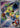Turtwig 010/030 30th Anniversary Celebration Pokemon Chinese
