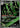 Team Rocket's Spidops 099/098 Glory of the Rocket Gang Pokemon Japanese Holo