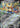 Hop's Zacian ex 161 RR Chasing Glory Together Pokemon Chinese