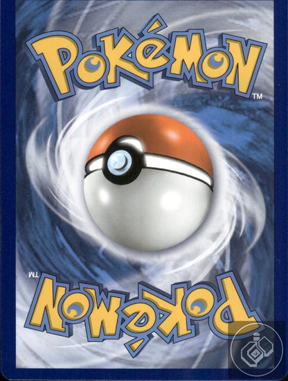 Raichu 36/108 Holo Rare Evolutions Pokemon Holo