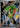 Snivy 013/030 30th Anniversary Celebration Pokemon Chinese