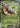 Forretress ex 002/091 Double Rare Paldean Fates Pokemon