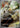 Cutiefly 078/071 Art Rare Cyber Judge Pokemon Japanese Holo