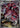 Drapion 090/080 Art Rare Nihil Zero Pokemon Japanese Holo