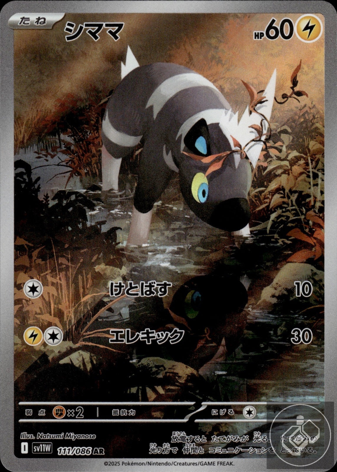 Blitzle 111/086 Art Rare SV11W: White Flare Pokemon Japanese