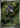 Nymble 082/080 Art Rare Inferno X Pokemon Japanese