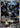 N's Zekrom 031 Holo Promo ME: Mega Evolution Promo Pokemon