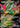 Iron Leaves ex 018/208 Terastal Gathering Pokemon Chinese