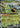 Teal Mask Ogerpon ex 021/208 Terastal Gathering Pokemon Chinese