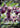 Drapion V 175/185 Ultra Rare Vivid Voltage Pokemon