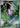Sliggoo 093/083 Art Rare Ninja Spinner Pokemon Japanese Holo